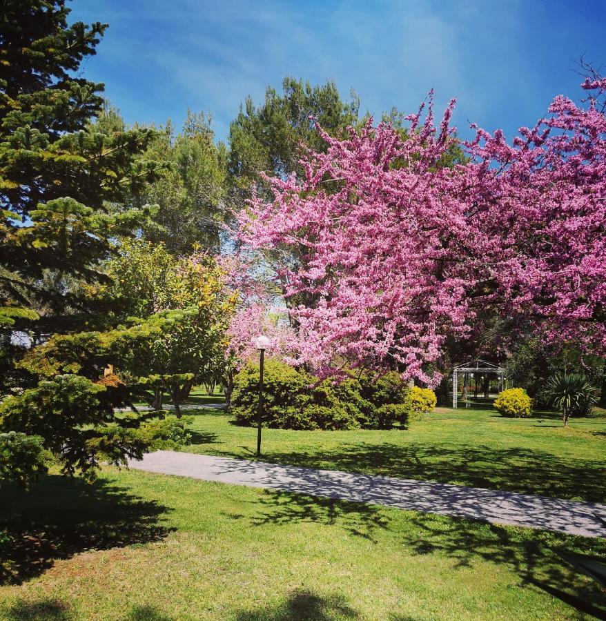 Green Park 디비아커 외부 사진